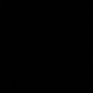 Meet your Posher, Dalia